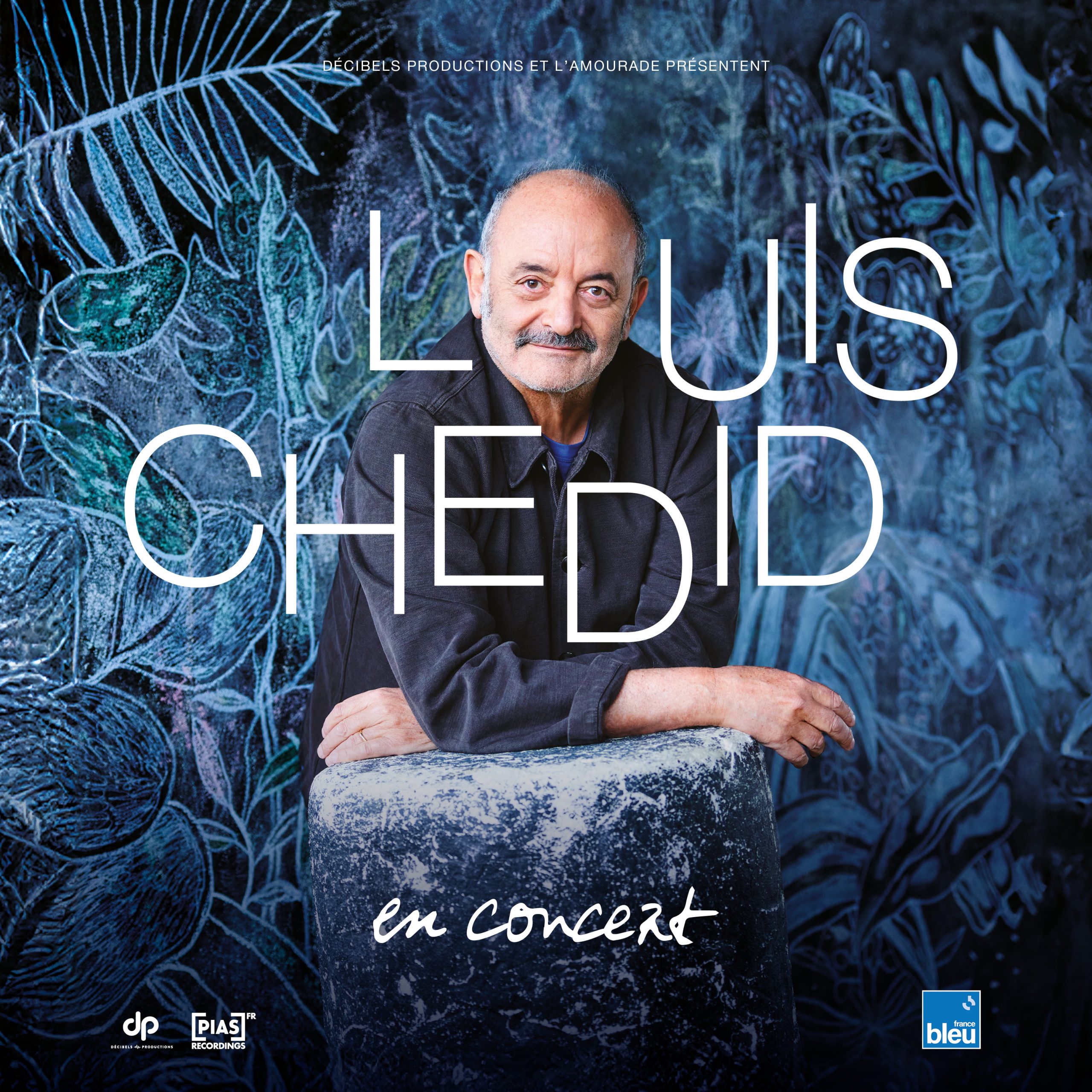 Louis Chedid | En concert